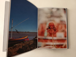 Pulpo de Jean Pierre Montanay Editorial cincotintas