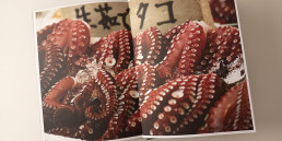 Pulpo de Jean Pierre Montanay Editorial cincotintas