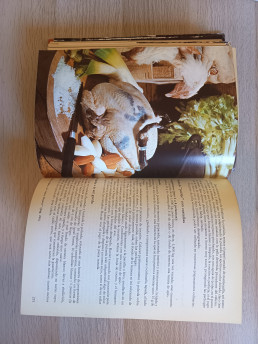 La cocina de mercado de Paul Bocuse: La revolución en la estantería familiar